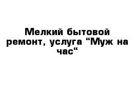 Мелкий бытовой ремонт, услуга “Муж на час“